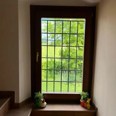 Attico Limoni *